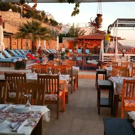 Orkide 3 فيلة