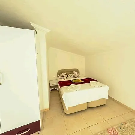فيلة Orkide 3 كاس